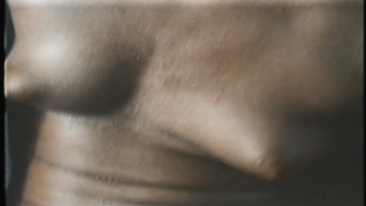 Judith Hamilton foto amatoriali culo nudo 14