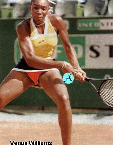 Venus Williams senza mutandine 13